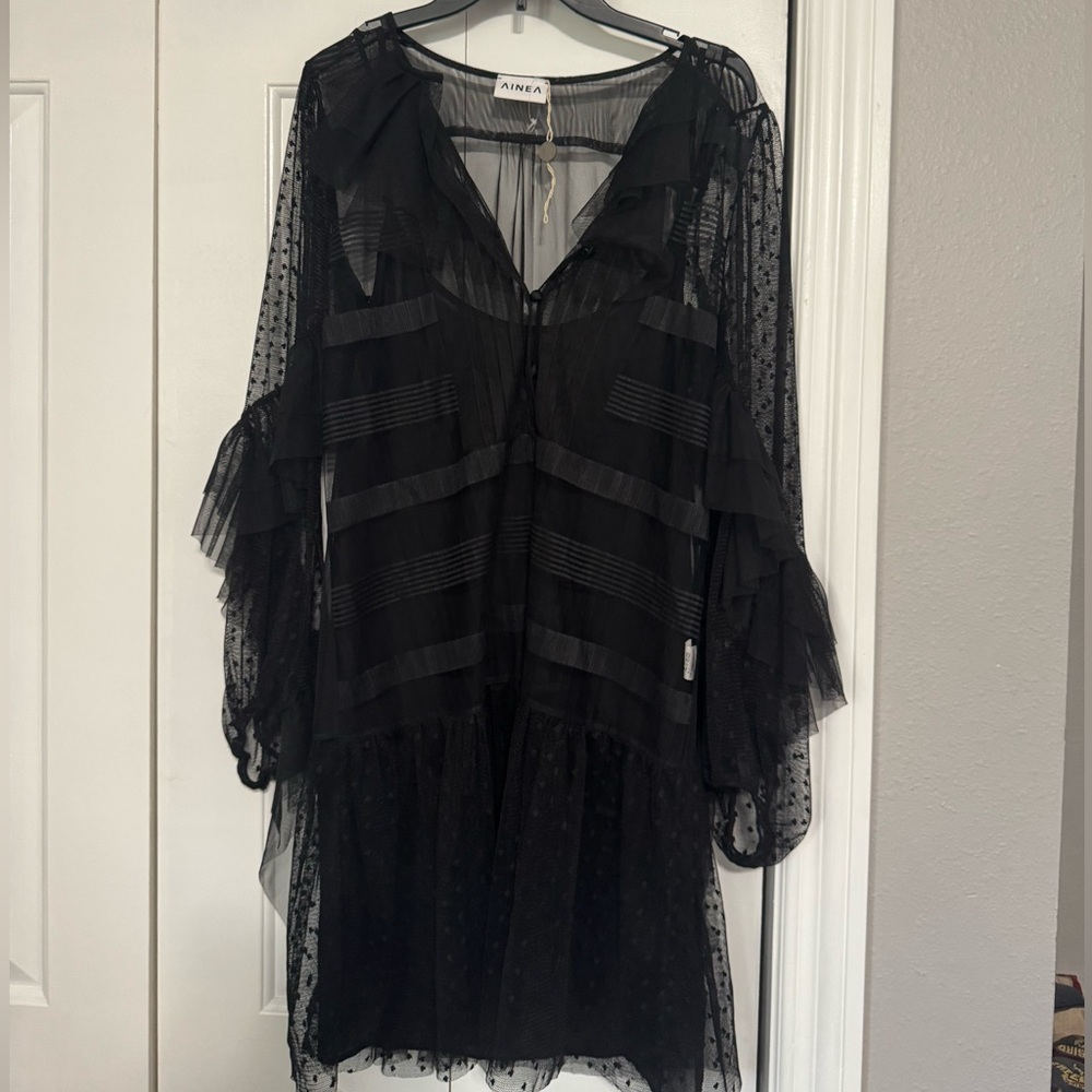 Chic Black Sheer Long Sleeve Dress